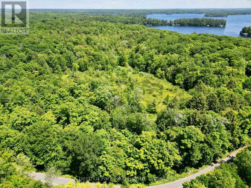 0 Acton Island Road, Muskoka Lakes (medora)