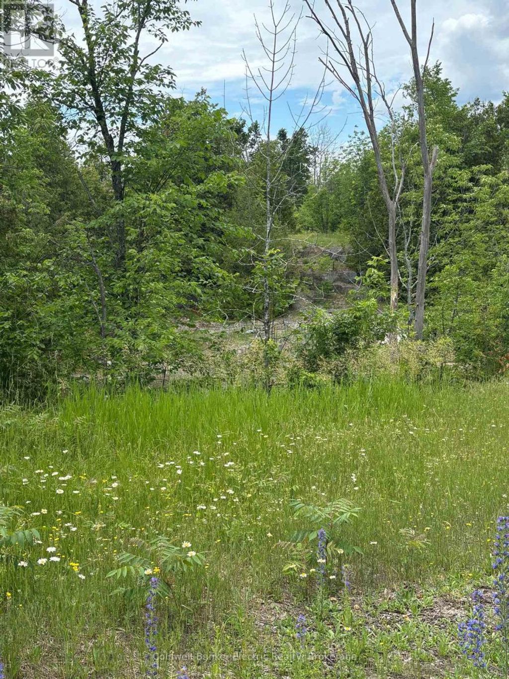 0 Tower Road, Madoc