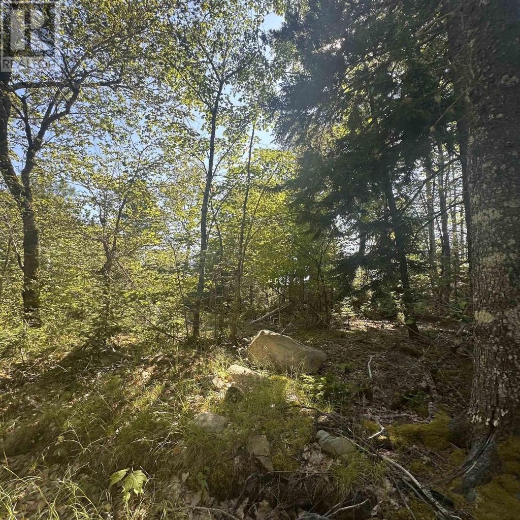 Lot (pid 70241864) Wellington Road, Buckfield