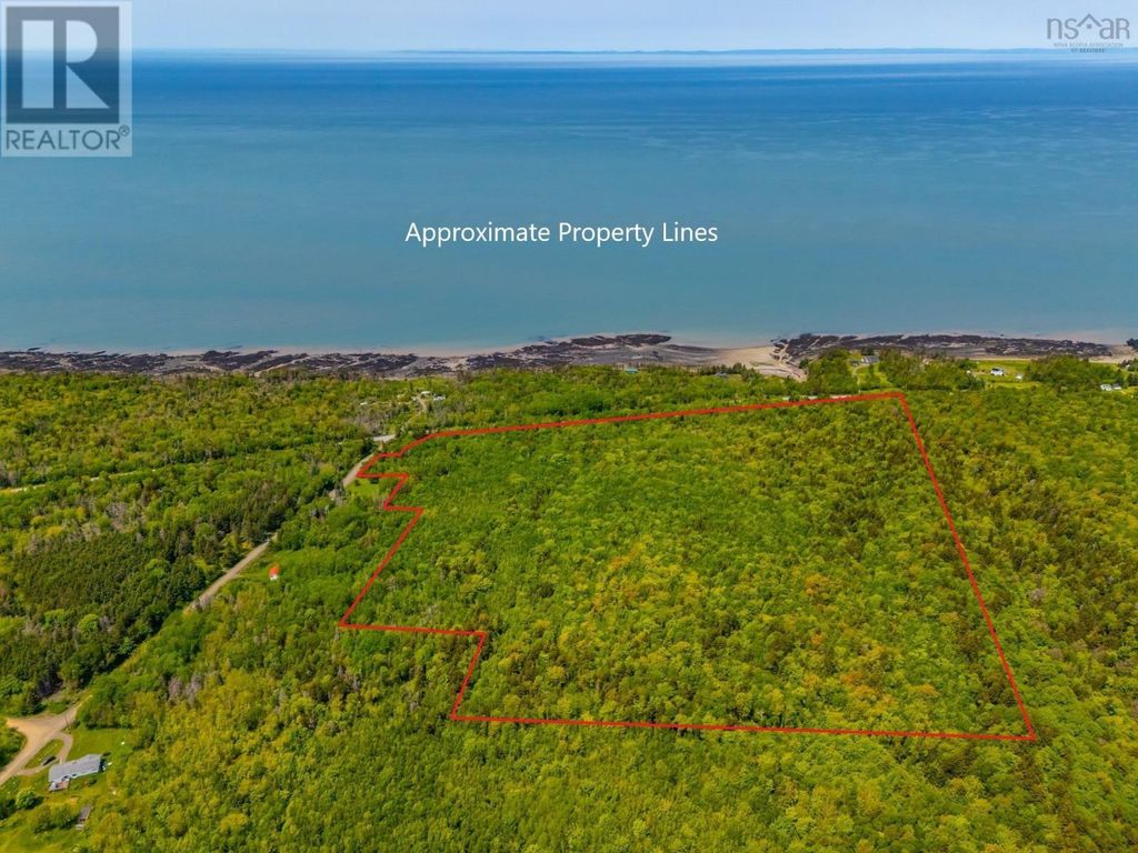 Shore Road, Youngs Cove