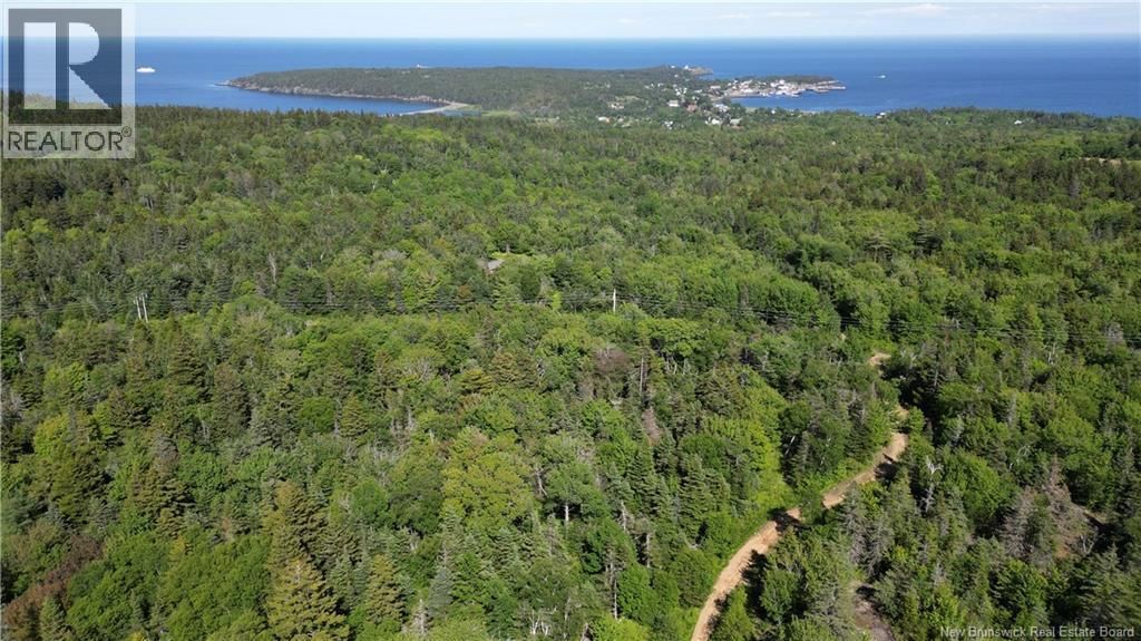 Land Stanley Brook, Grand Manan
