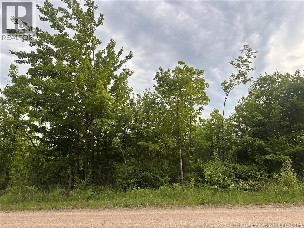 Lot Tay Falls Road, Woodlands