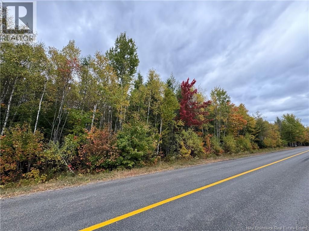 Blueberry Lane, Codys