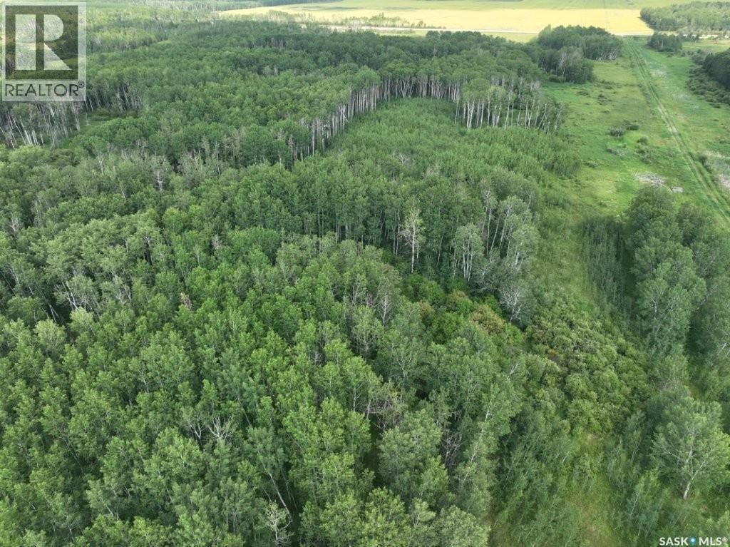 76 Acre Hunters Retreat Land, Hudson Bay