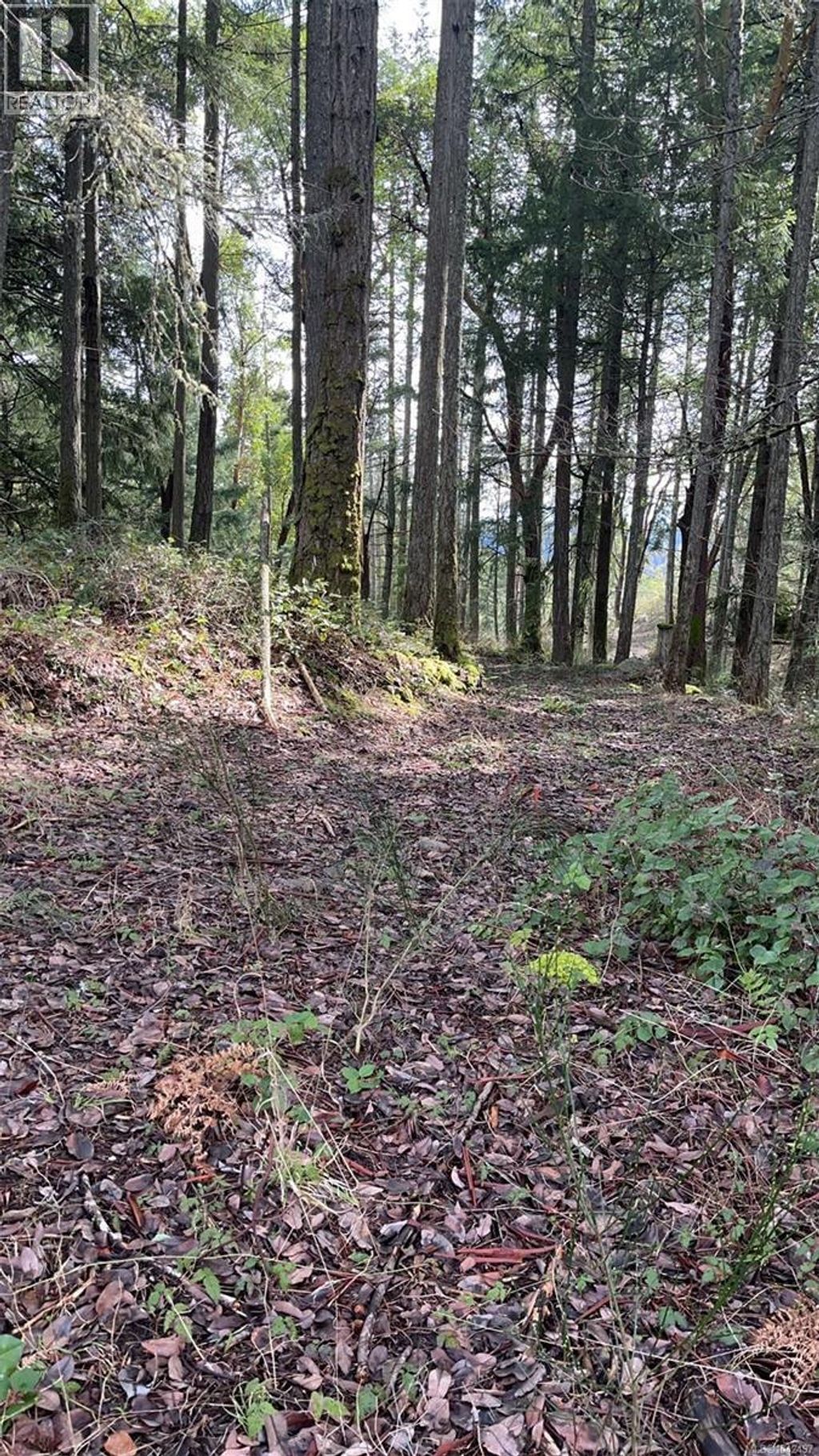 Lot A Ebadora Lane, Malahat