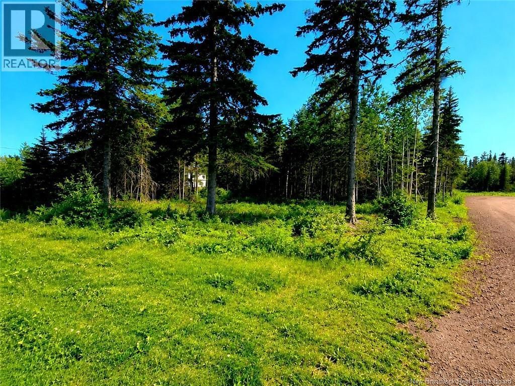 1921sm-2 Ave Du Tré Carré Avenue, Shippagan