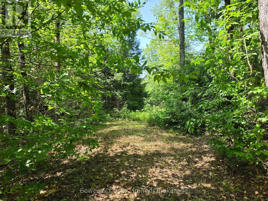 1160 Balmer Road, North Kawartha