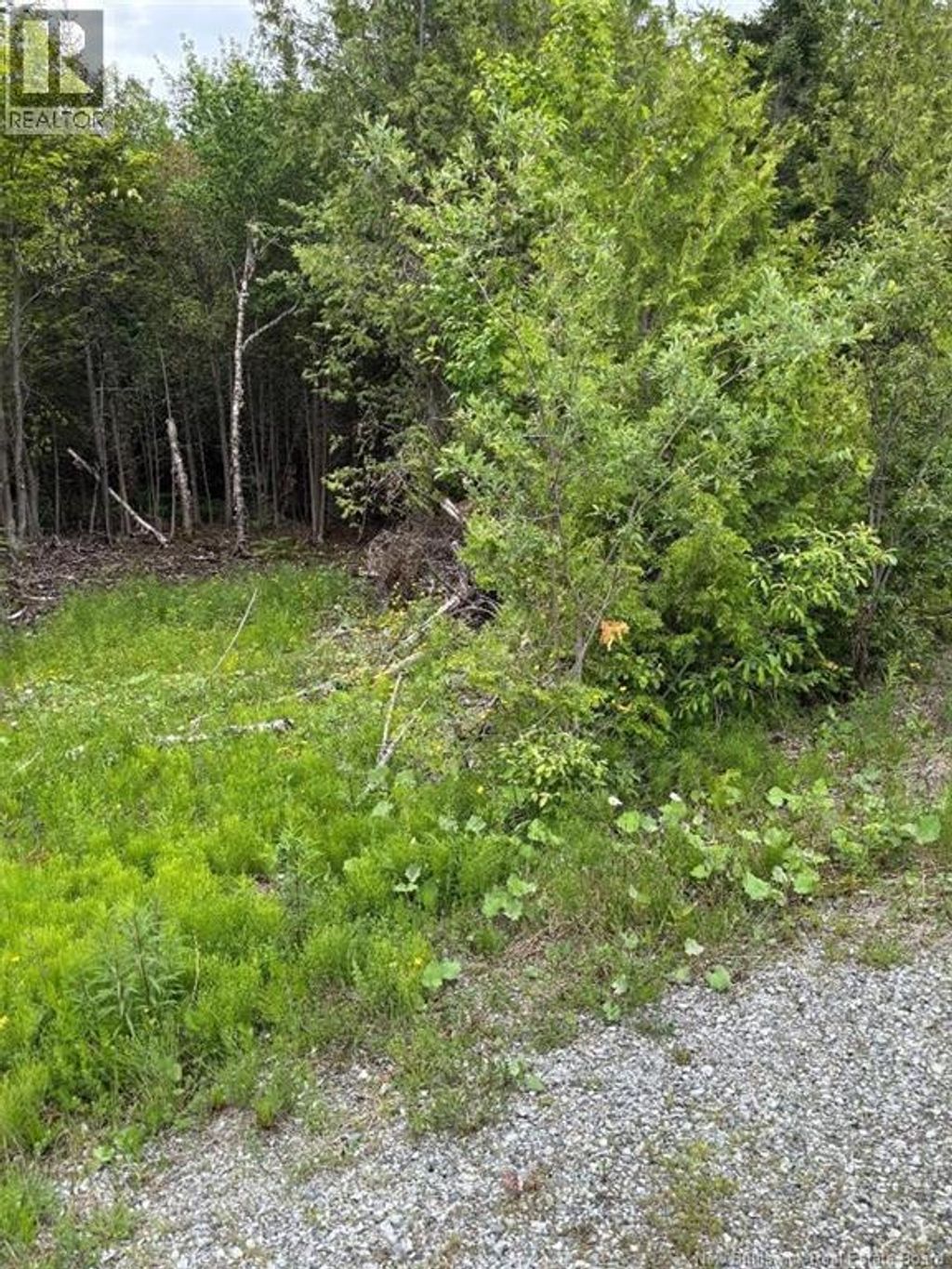 A-32 Deer Glen Drive, Saint John