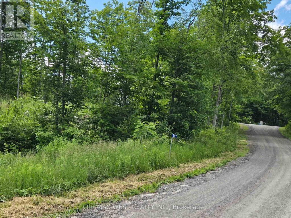 507 Black River Road, Tweed (elzevir (twp))
