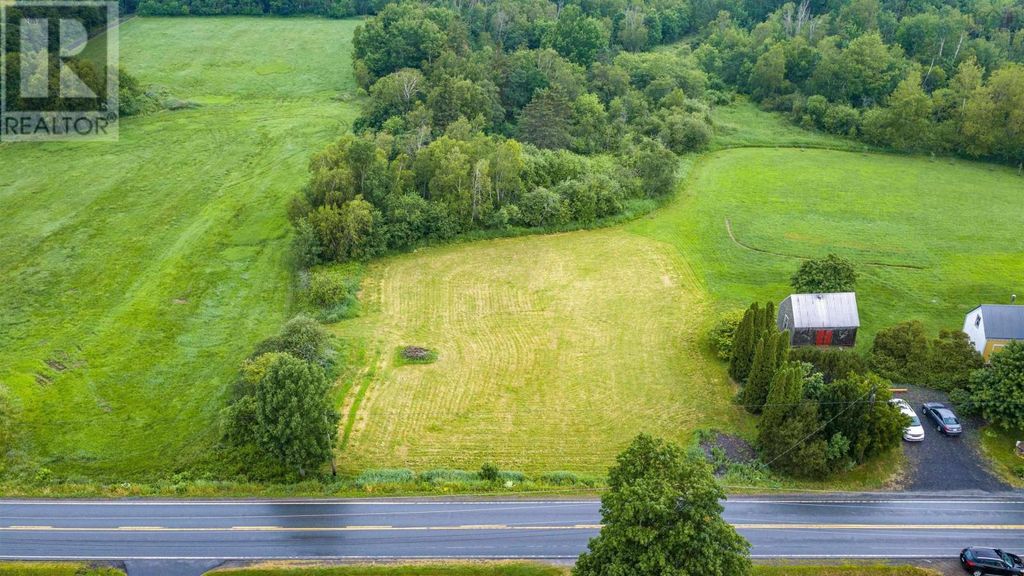 No Highway 215, Noel Shore