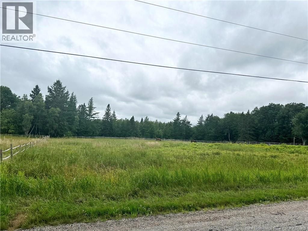 Collina Road, Studholm