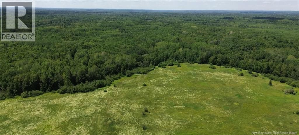 114.9 Acres Little River Drive, Bathurst