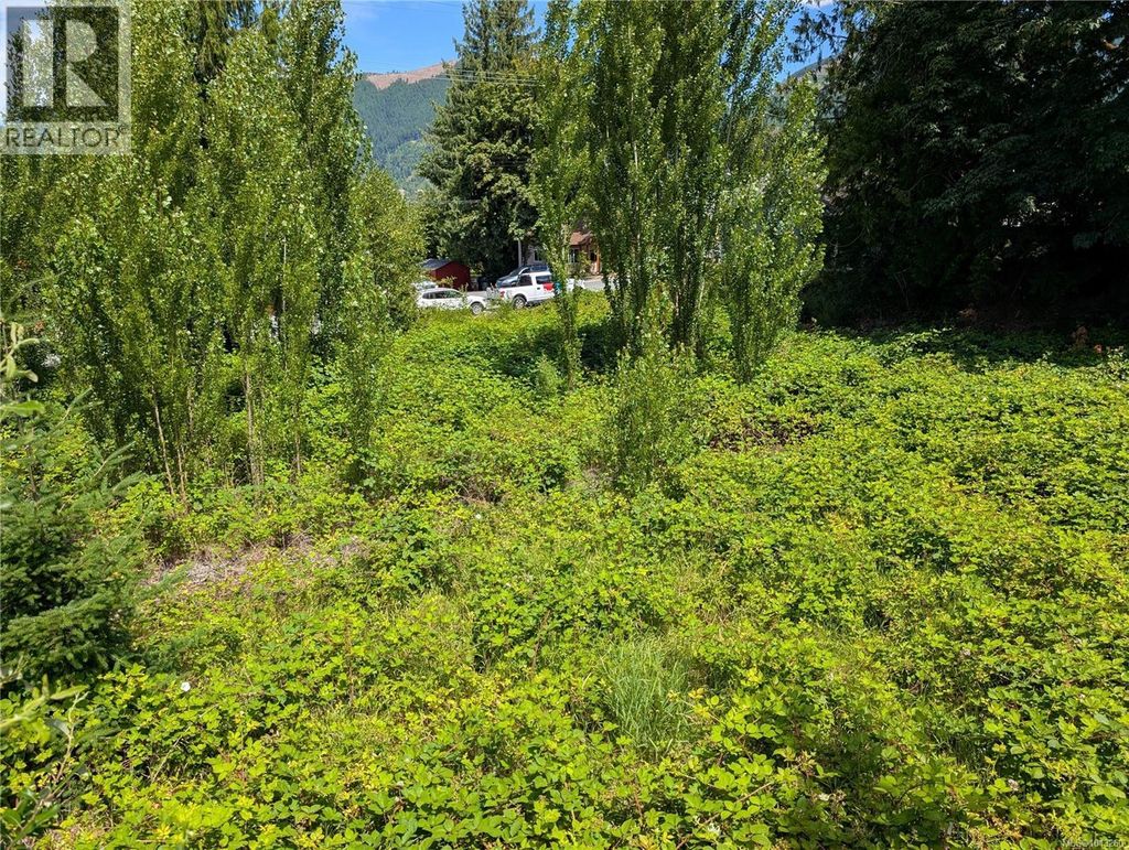 172 South Shore Rd, Lake Cowichan