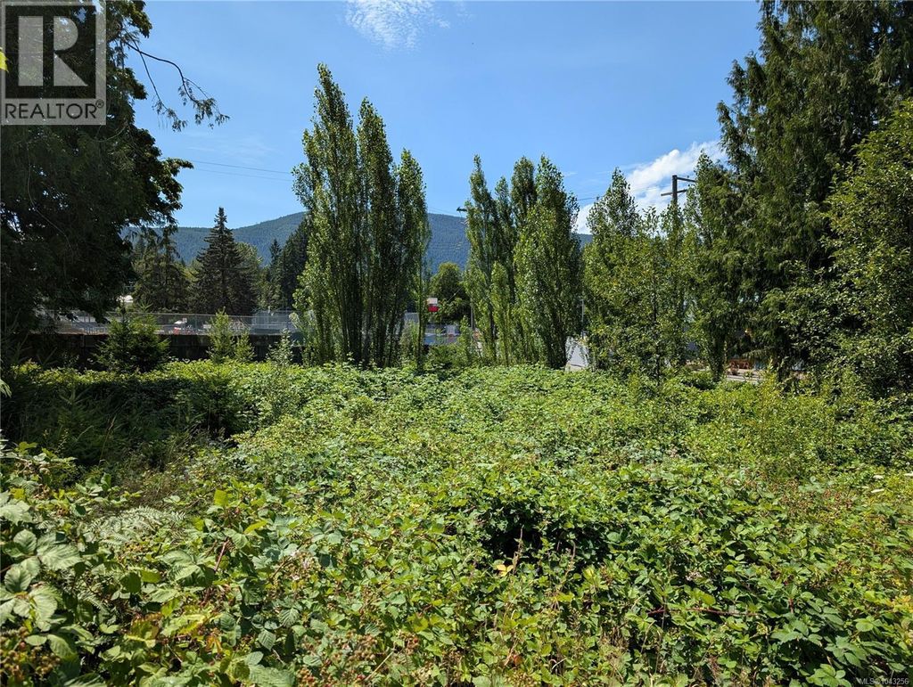 96 Cowichan Ave, Lake Cowichan
