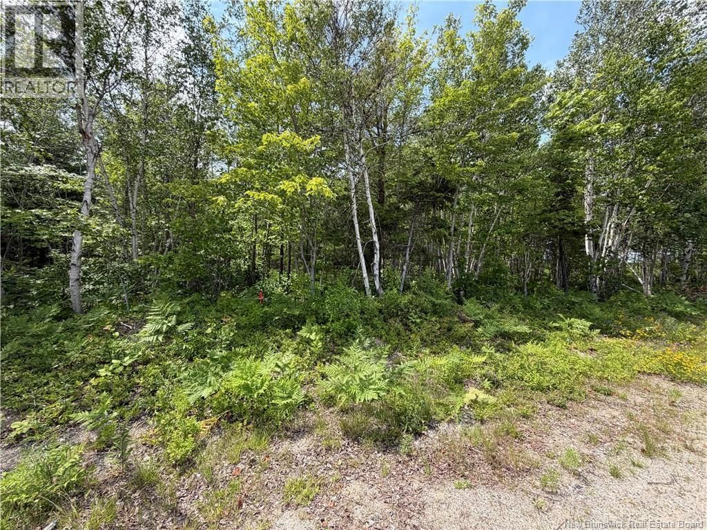 Lot 3 O'keefe, Miramichi