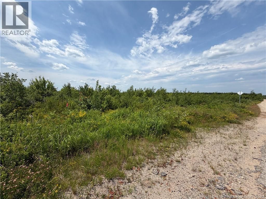 Lot 5 O'keefe, Miramichi
