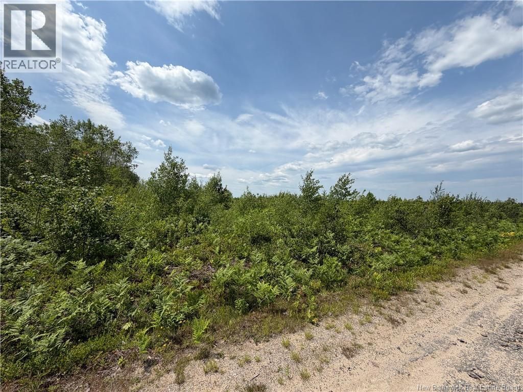 Lot 4 O'keefe Road, Miramichi