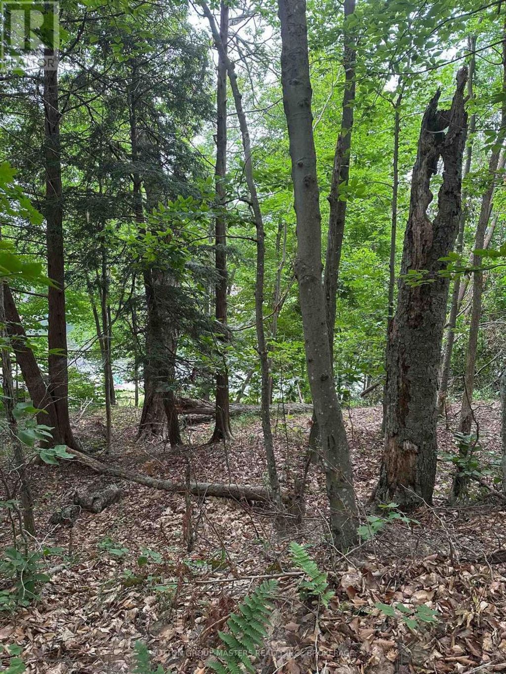 0 Silver Rock Lane, Frontenac (frontenac South)