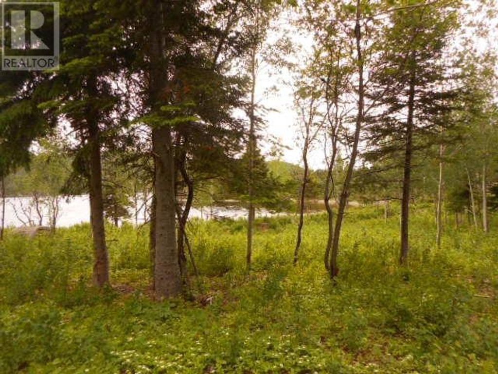 00 Salt Pond Road, Springdale