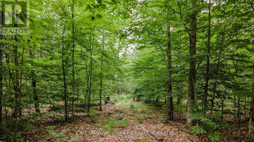0 Peplinskie Road, Madawaska Valley