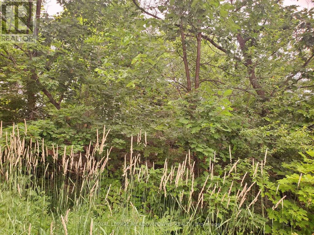 P18185 Lt 11-12 Con 11, Parry Sound Remote Area (east Mills)