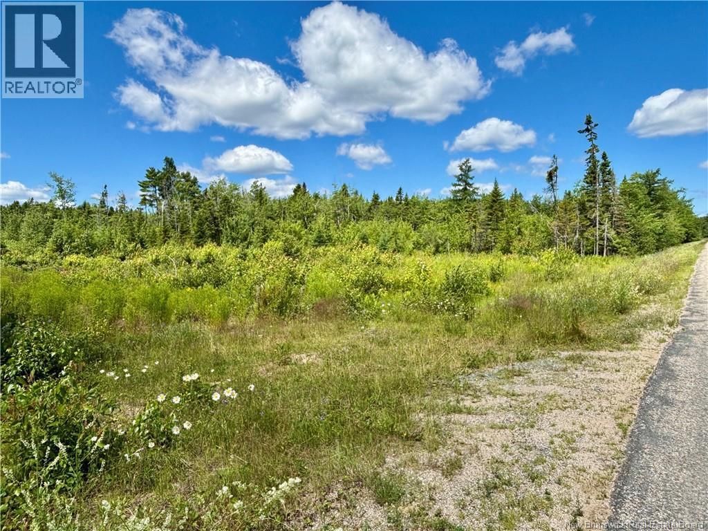 2.24 Acres Mcleod Street, Neguac