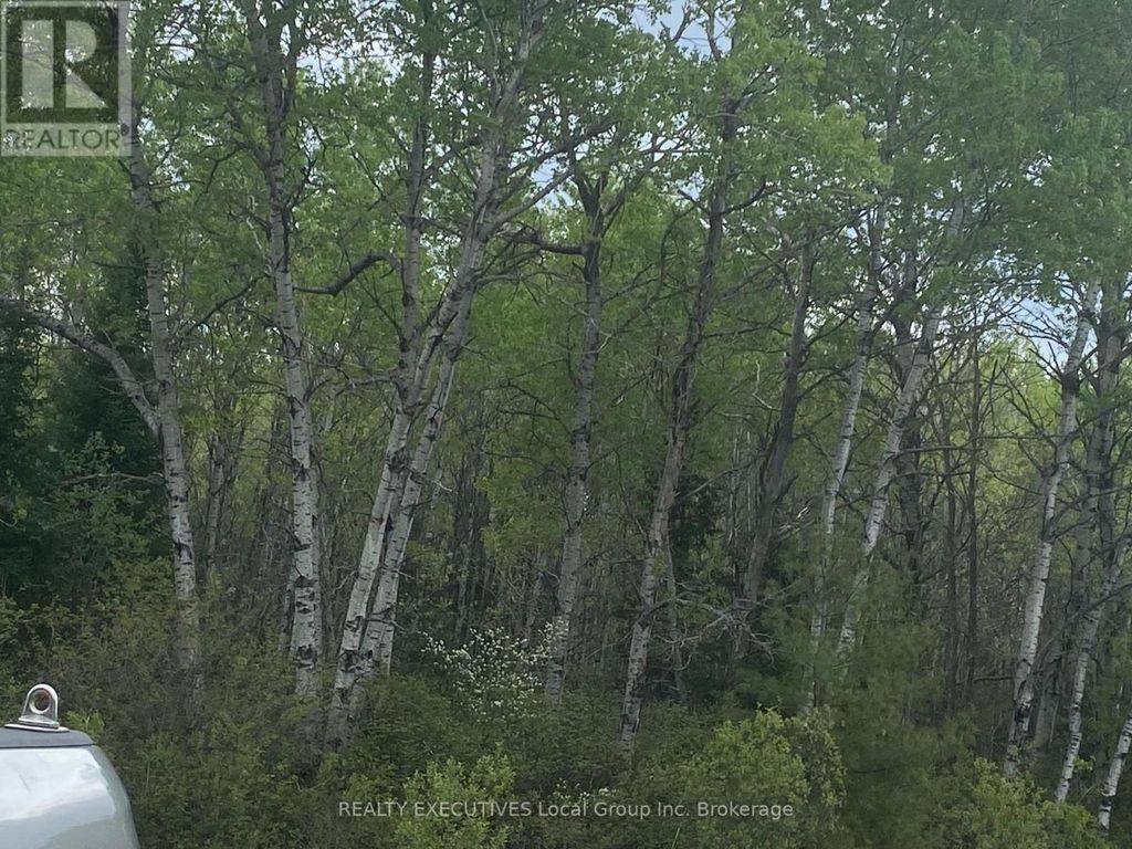 Lot 33 Rutherglen Line, Bonfield