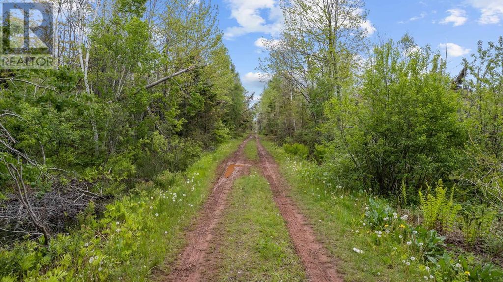 0 Adams Road, Fanning Brook