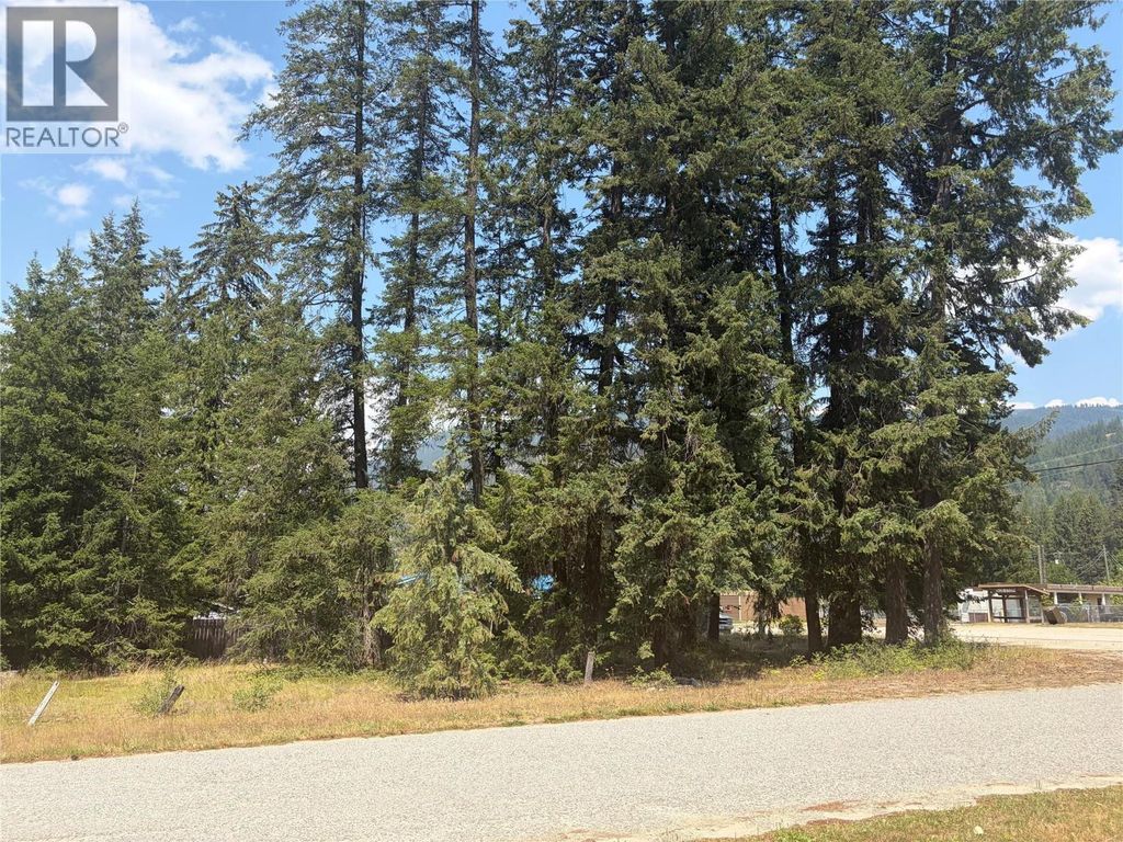Harold Street Lot# 11&12, Slocan