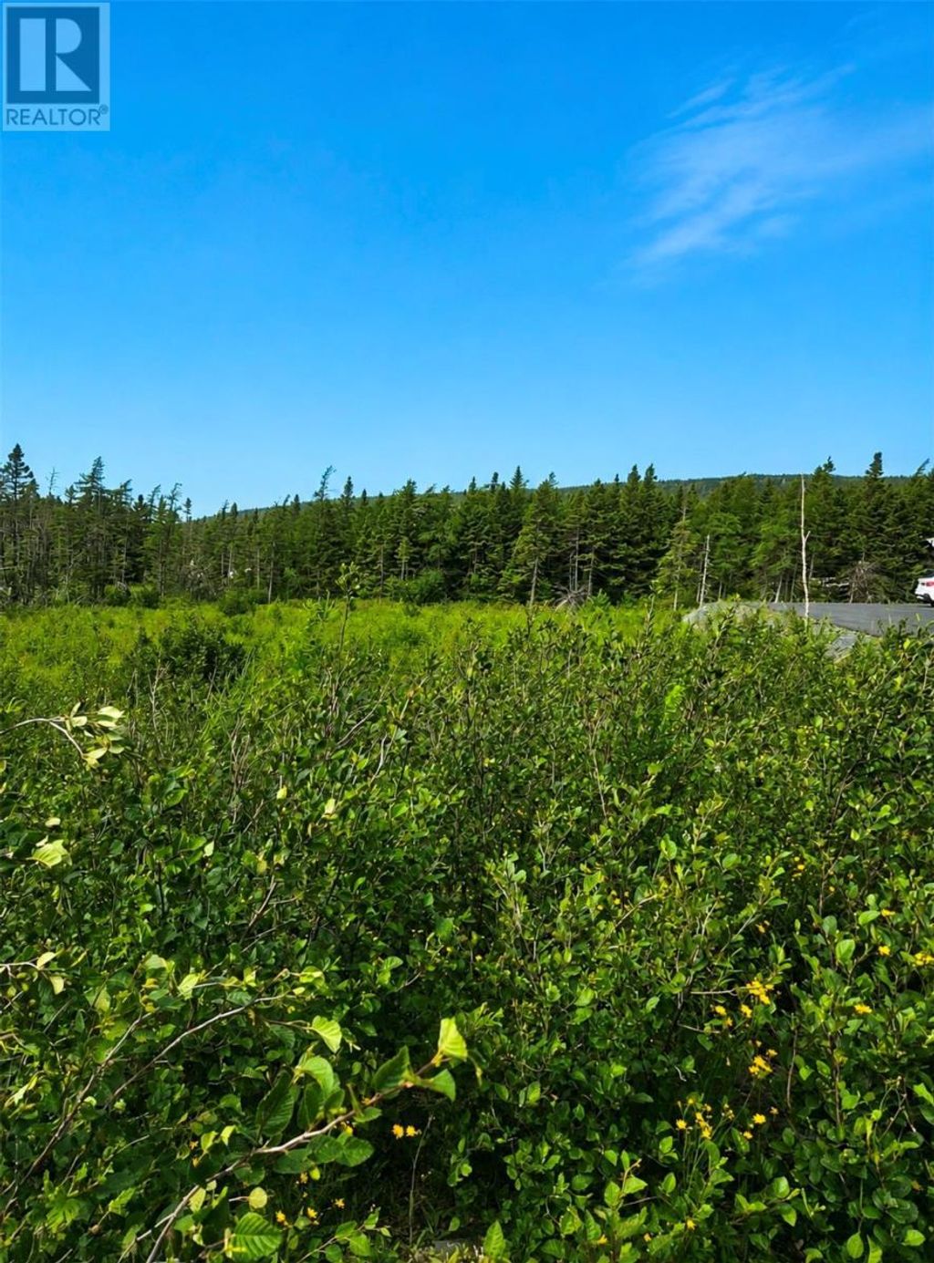 168 Hodgewater Line, South River