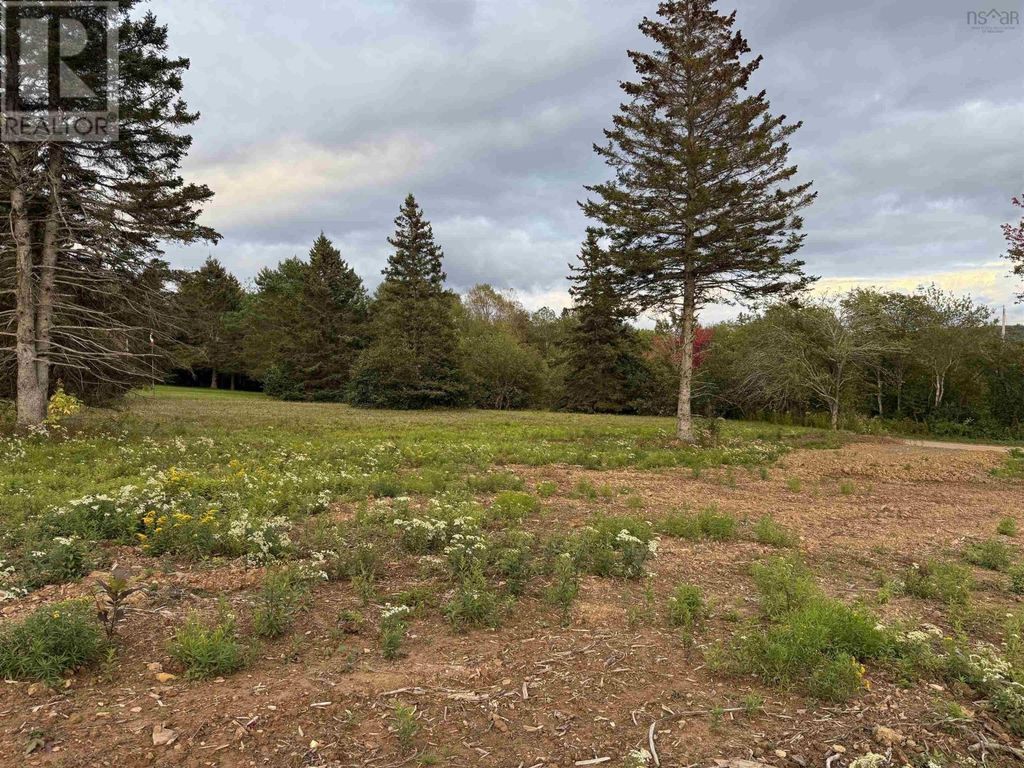 Lot 25 Mull River Road, Mabou