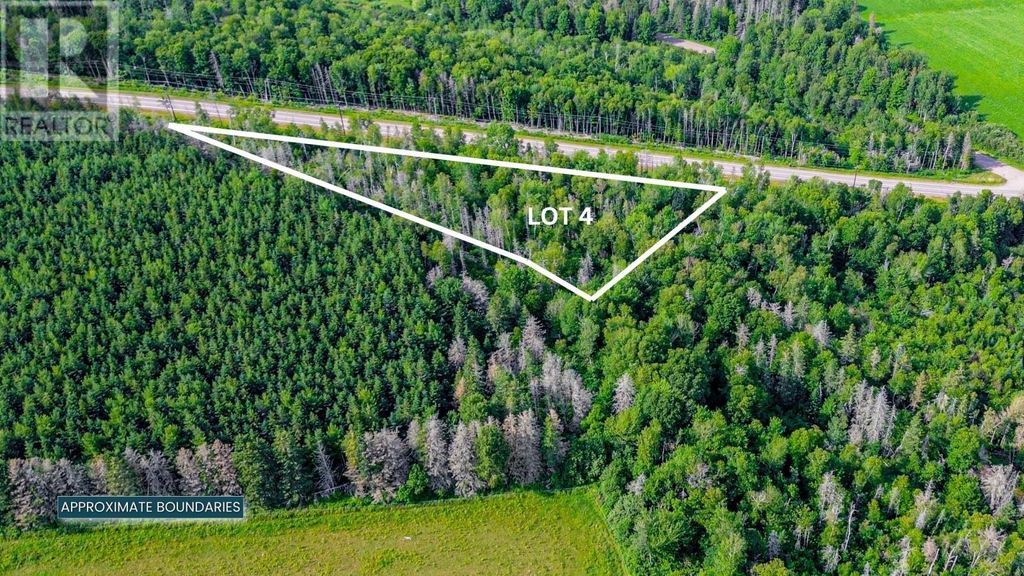 Lot 4 Route 225, Stanchel
