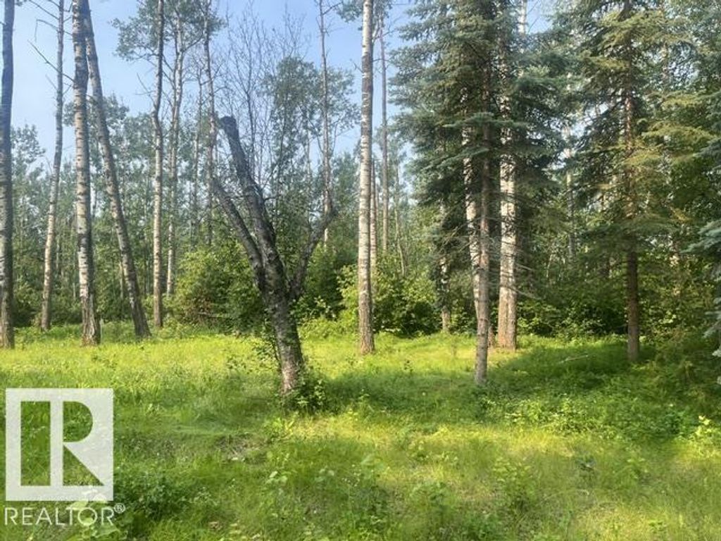 #113 55107 Rr 33, Rural Lac Ste. Anne County