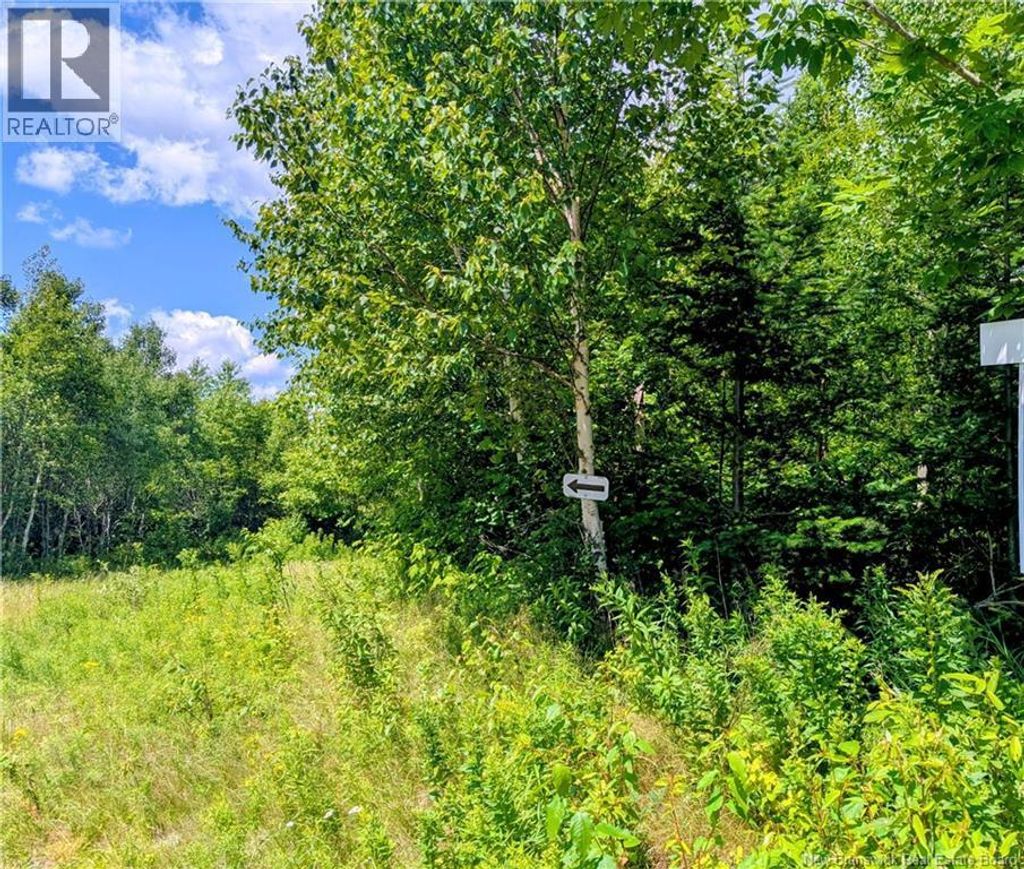 Lot 8 Golden Ridge Road, East Knowlesville