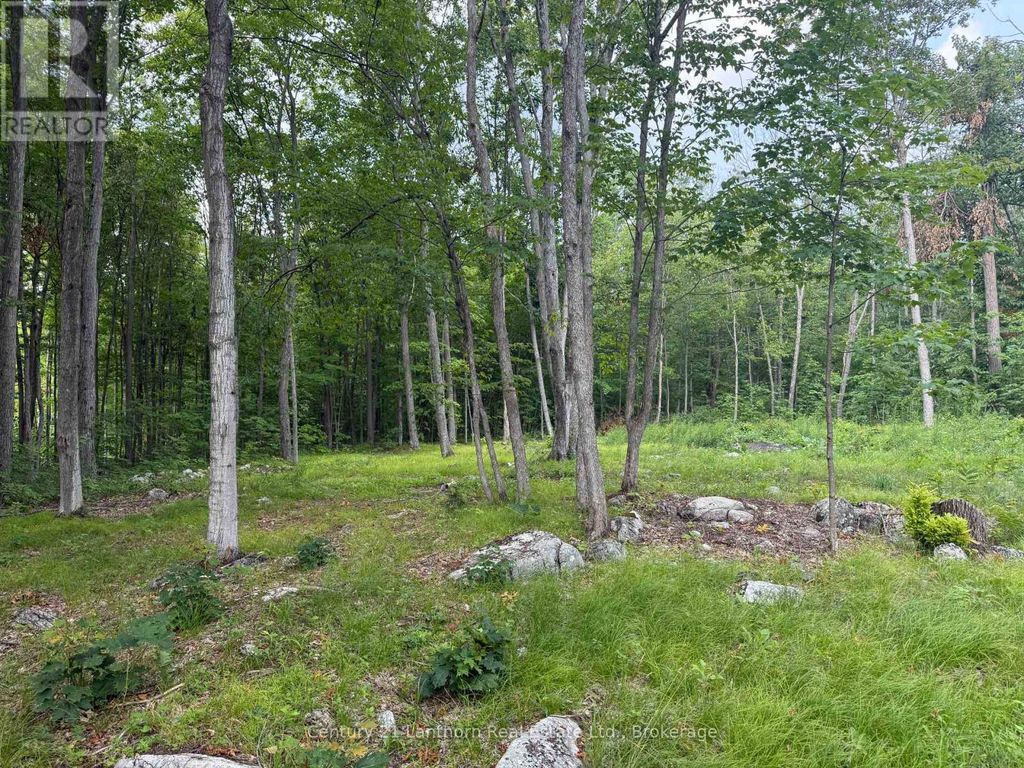 554 Pigden Road, Madoc