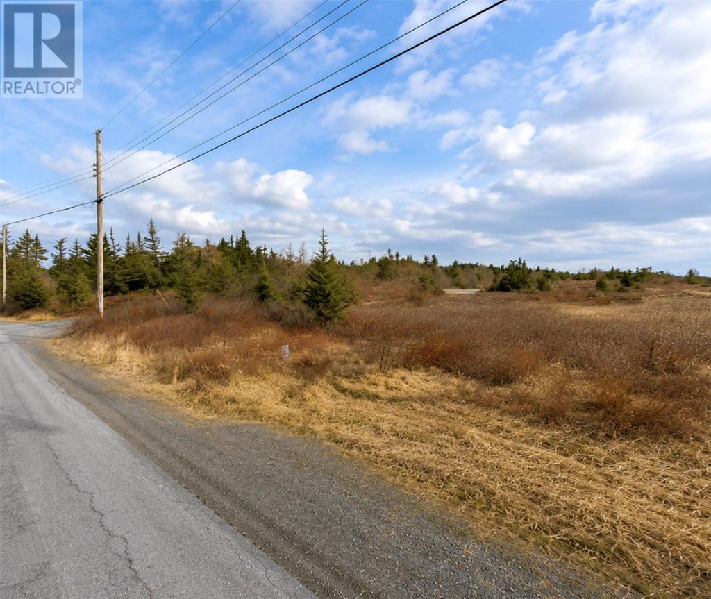 163 Ridge Road, Spaniard's Bay