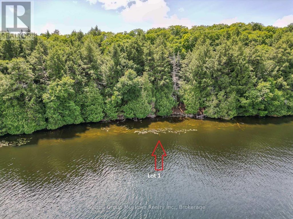 Lot 1 Esig Lane, Lake Of Bays (sinclair)