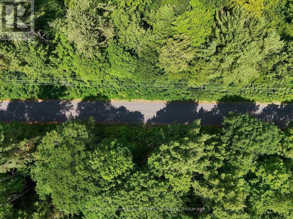 1098 Old Hwy 117, Lake Of Bays (ridout)