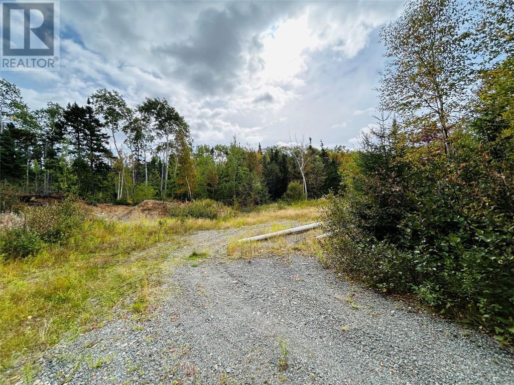 117 Askels Cove Road, Western Arm