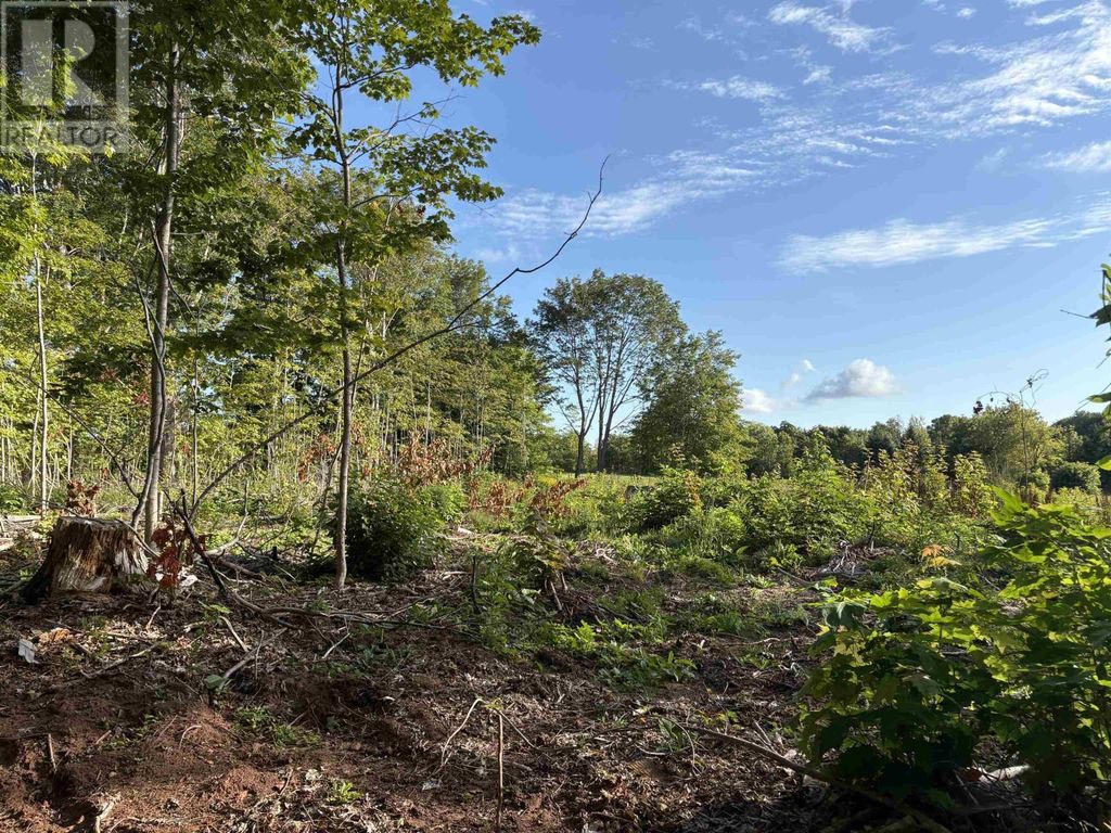 Lot 24-1 Lorabelle Court, Montrose