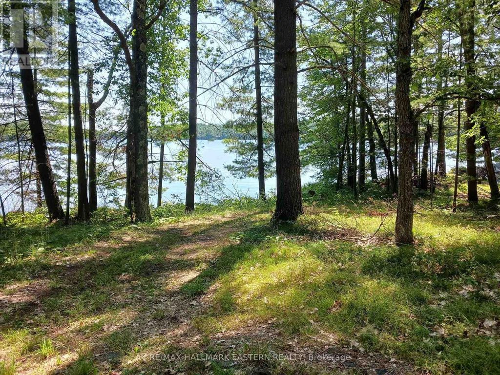 15 Fire Route 92a Kasshabog Lake, Havelock-Belmont-Methuen (belmont-Methuen)