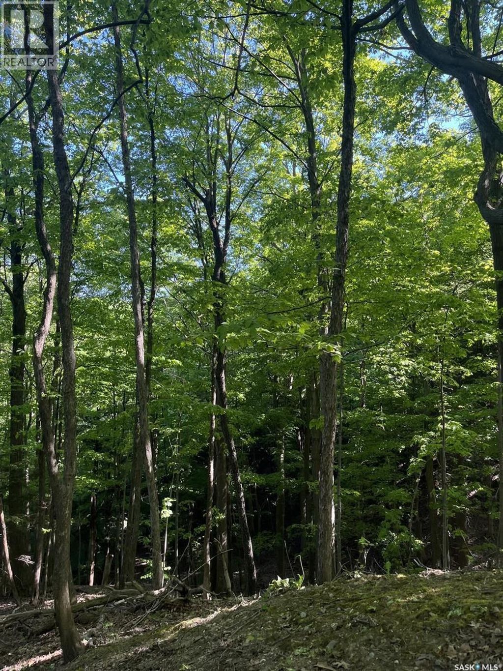 Tallon Land, Moose Range Rm No. 486