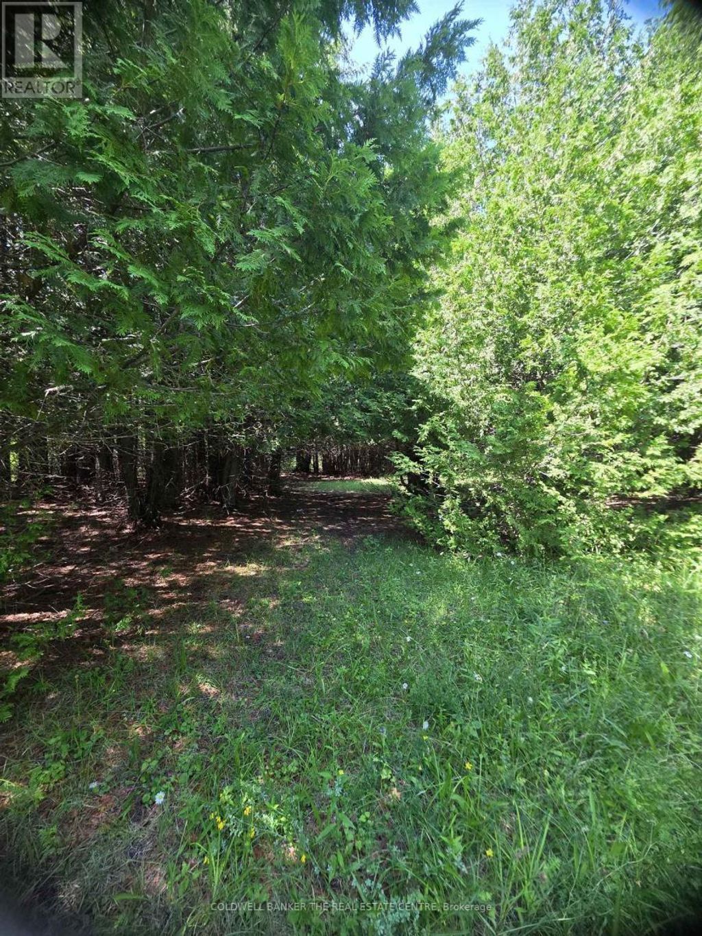 N/a Government Road W, Tehkummah