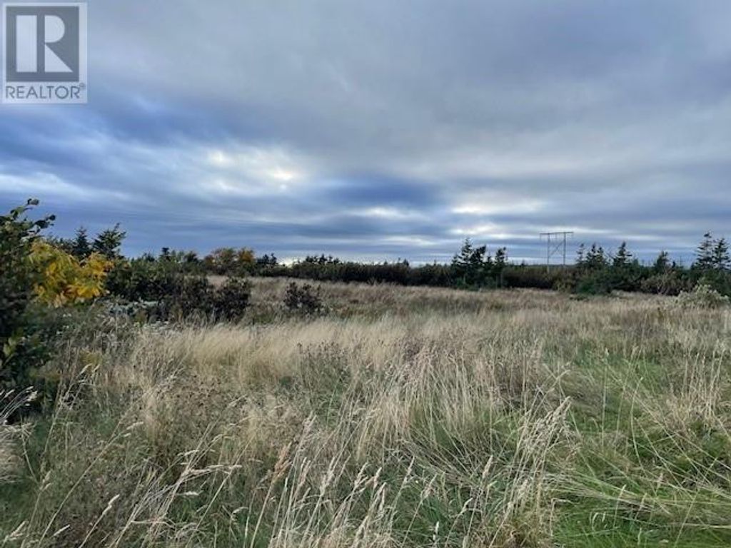 4 Gabriel Drive, Port Au Port East