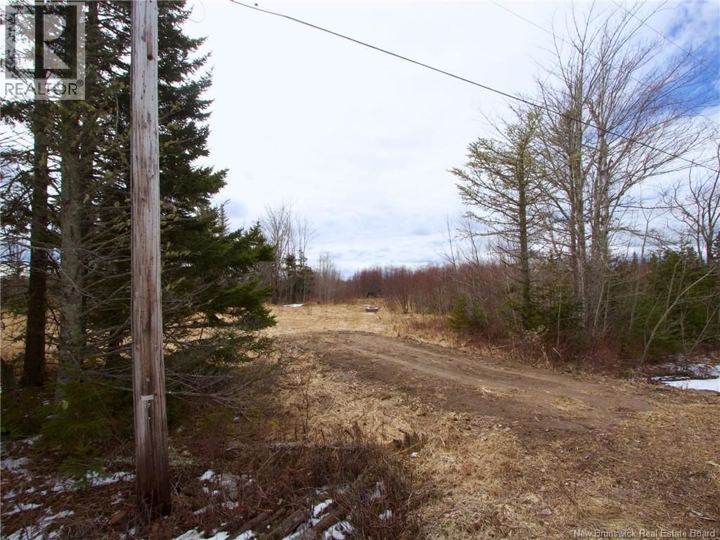 Lot Moore Road, Port Elgin