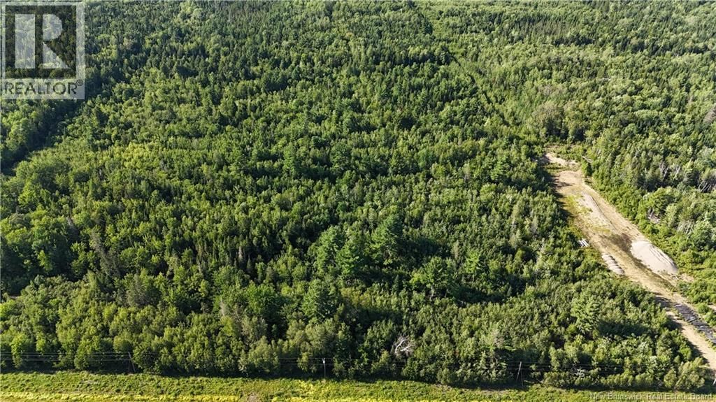 Woodlot Route 8, Blissfield