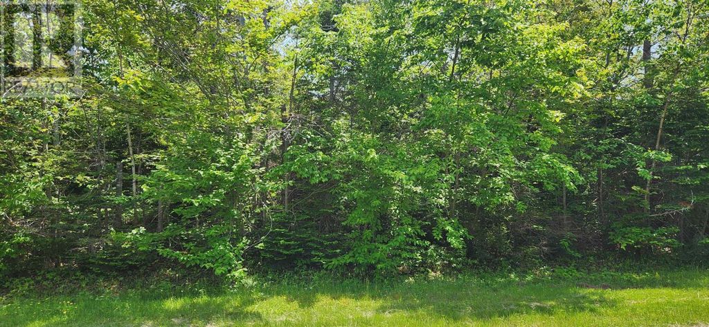 Acreage Greys Road Road, Wood Islands