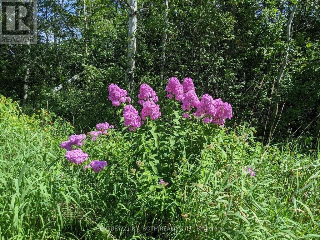 2361 George Johnston Road, Springwater