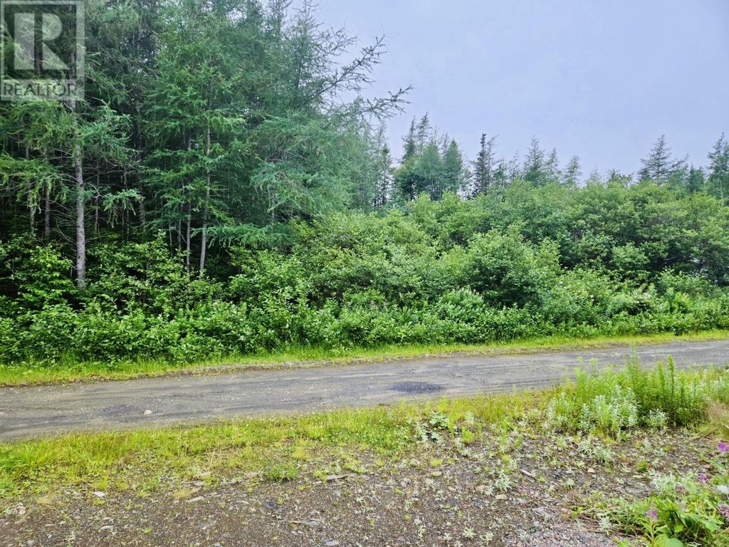 7 Lot -camp 4 Road, Bay D'espoir Highway