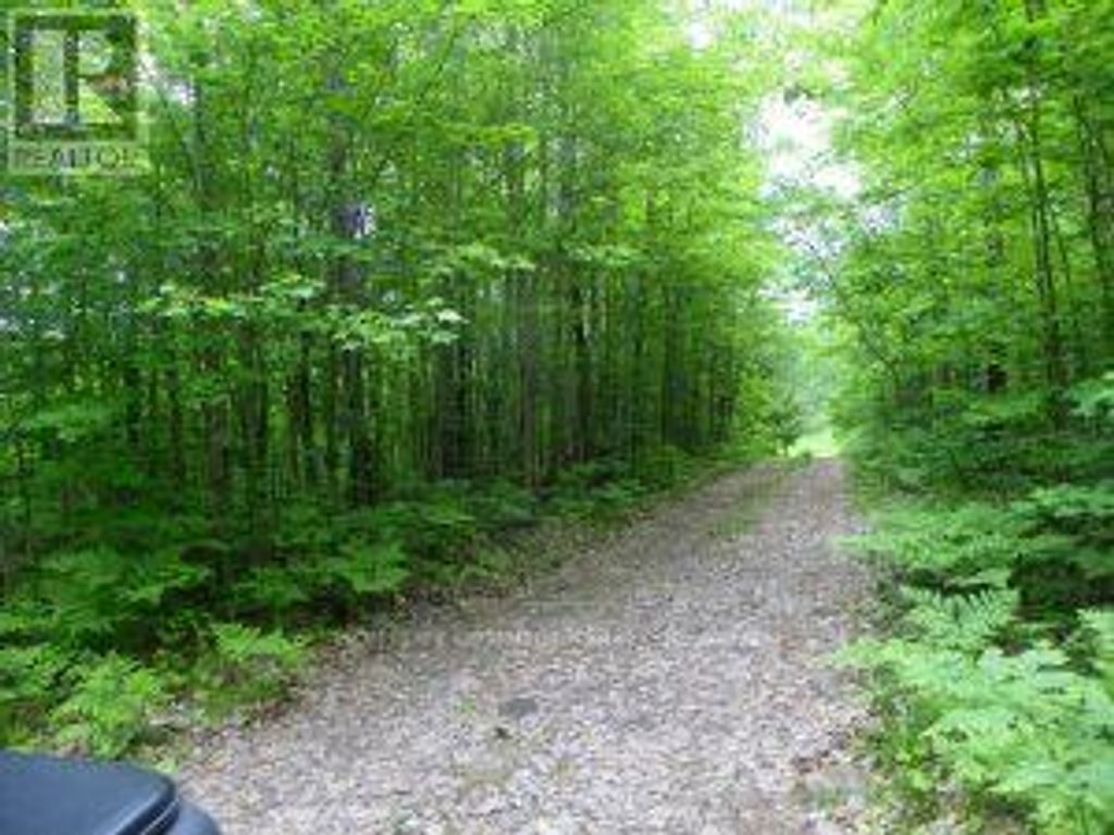 50 Acres In Muskoka North Of Bala - Pcl 31045, Muskoka Lakes (medora)